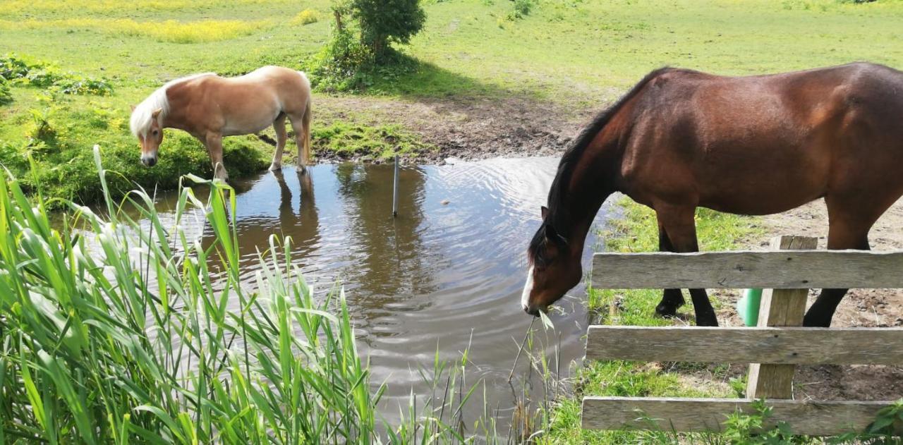 Homestead Amsterdam Zewnętrze zdjęcie